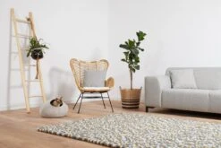 Cat Cave Stone 5 Cat Cave Stone -Kattenproducten 1200x800 42