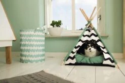 Beeztees Kioni Tipi Tent - Kattenhuis - Zwart/Wit - 50x50x70 Cm 15 Beeztees Kioni Tipi Tent - Kattenhuis - Zwart/Wit - 50x50x70 Cm -Kattenproducten 1200x800 47