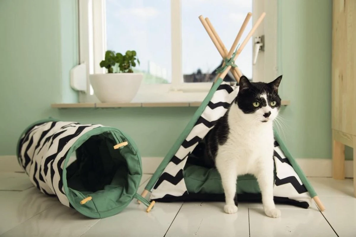 Beeztees Kioni Tipi Tent - Kattenhuis - Zwart/Wit - 50x50x70 Cm 7 Beeztees Kioni Tipi Tent - Kattenhuis - Zwart/Wit - 50x50x70 Cm - Afbeelding 5