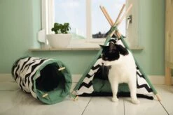 Beeztees Kioni Tipi Tent - Kattenhuis - Zwart/Wit - 50x50x70 Cm 19 Beeztees Kioni Tipi Tent - Kattenhuis - Zwart/Wit - 50x50x70 Cm -Kattenproducten 1200x800 51