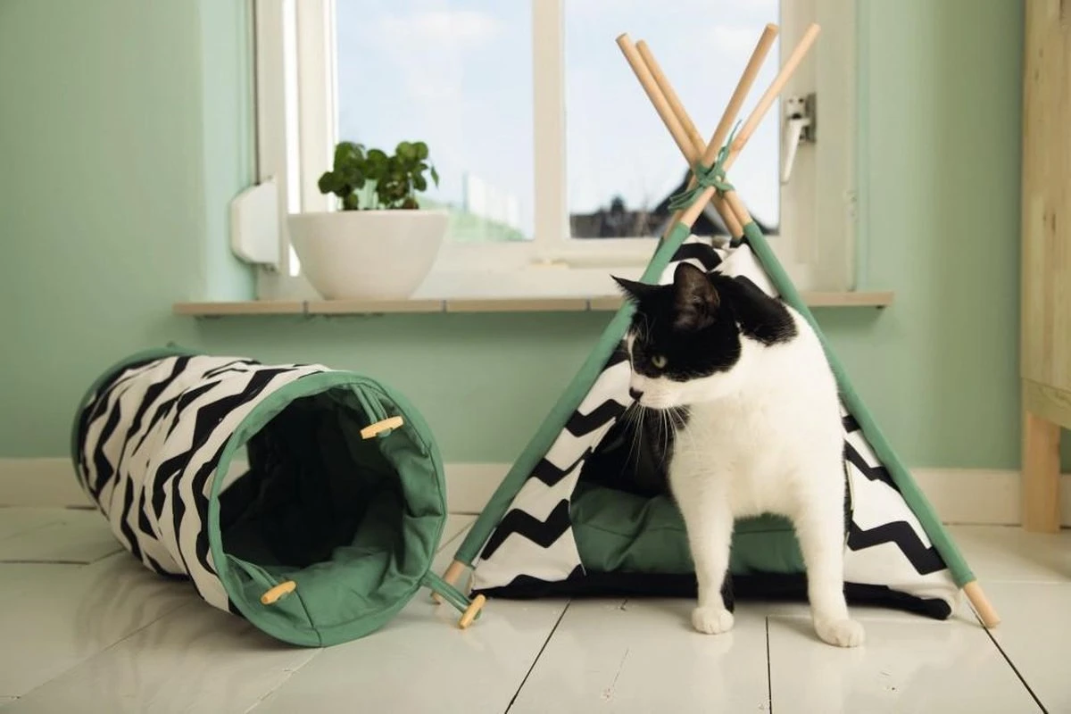 Beeztees Kioni Tipi Tent - Kattenhuis - Zwart/Wit - 50x50x70 Cm 10 Beeztees Kioni Tipi Tent - Kattenhuis - Zwart/Wit - 50x50x70 Cm - Afbeelding 8