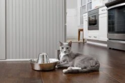 PetSafe® Seaside Stainless Steel Pet Fountain - RVS Drinkfontein Voor Katten En Kleine Honden - Water Borrelt Zacht Over De Toren - Door Het Design Van Alle Kanten Bereikbaar - 1,8 Liter - PetSafe Seaside 13 PetSafe® Seaside Stainless Steel Pet Fountain - RVS Drinkfontein Voor Katten En Kleine Honden - Water Borrelt Zacht Over De Toren - Door Het Design Van Alle Kanten Bereikbaar - 1,8 Liter - PetSafe Seaside -Kattenproducten 1200x800 6