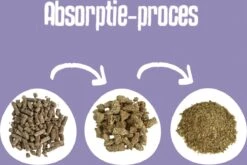 Easypets Houtkorrel Kattenbakvulling 10KG - 20L - Biologisch Afbreekbare Houtkorrels - FSC 11 Easypets Houtkorrel Kattenbakvulling 10KG - 20L - Biologisch Afbreekbare Houtkorrels - FSC -Kattenproducten 1200x802 1