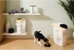 Curver Voedselcontainer Kat - 35 L 11 Curver Voedselcontainer Kat - 35 L -Kattenproducten 1200x805