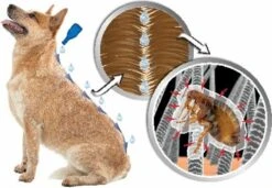 Beaphar DIMETHIcare Line On Kat - Vlooienbestrijding - 6 Pipetten -Kattenproducten 1200x831