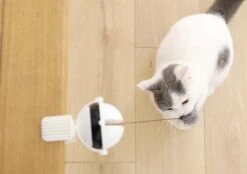 Merkloos Kattenhengel - Elektrisch Kattenspeelgoed - Kattenspeeltjes - Automatische Hengel - Kitten Speelgoed - Interactief Kattenspeelgoed - Bal - Katten - Poesjes - Kitten - Kat - Kattenbal - Kattenspeeltjes Intelligentie 10 Merkloos Kattenhengel - Elektrisch Kattenspeelgoed - Kattenspeeltjes - Automatische Hengel - Kitten Speelgoed - Interactief Kattenspeelgoed - Bal - Katten - Poesjes - Kitten - Kat - Kattenbal - Kattenspeeltjes Intelligentie -Kattenproducten 1200x845 1