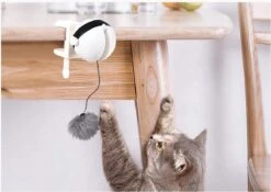 Merkloos Kattenhengel - Elektrisch Kattenspeelgoed - Kattenspeeltjes - Automatische Hengel - Kitten Speelgoed - Interactief Kattenspeelgoed - Bal - Katten - Poesjes - Kitten - Kat - Kattenbal - Kattenspeeltjes Intelligentie 9 Merkloos Kattenhengel - Elektrisch Kattenspeelgoed - Kattenspeeltjes - Automatische Hengel - Kitten Speelgoed - Interactief Kattenspeelgoed - Bal - Katten - Poesjes - Kitten - Kat - Kattenbal - Kattenspeeltjes Intelligentie -Kattenproducten 1200x852 2