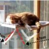 Hobipets - Kattenmand Raam - 5 Zuignappen - Hangmat Kat Raam 1 Hobipets - Kattenmand Raam - 5 Zuignappen - Hangmat Kat Raam -Kattenproducten 1200x856 3