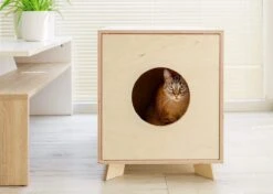 Catandwood Kattenhuis - Kattenbakcontainer - Kattenbak Ombouw - Hout 15 Catandwood Kattenhuis - Kattenbakcontainer - Kattenbak Ombouw - Hout -Kattenproducten 1200x856 5