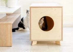 Catandwood Kattenhuis - Kattenbakcontainer - Kattenbak Ombouw - Hout 16 Catandwood Kattenhuis - Kattenbakcontainer - Kattenbak Ombouw - Hout -Kattenproducten 1200x857 4