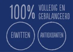 Felix Elke Dag Feest Vis Selectie In Gelei 7+ Jaar 12 X 85 Gr -Kattenproducten 1200x865