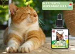 Natuurlijke Vlooiendruppels Voor Katten - Vanaf 4 Kg - 100% Natuurlijk - Vlooien - Zonder Giftige Pesticiden - 30 Ml - Speciale Formule Voor Katten - Vachtdruppels - Made In Holland 12 Natuurlijke Vlooiendruppels Voor Katten - Vanaf 4 Kg - 100% Natuurlijk - Vlooien - Zonder Giftige Pesticiden - 30 Ml - Speciale Formule Voor Katten - Vachtdruppels - Made In Holland -Kattenproducten 1200x872 3