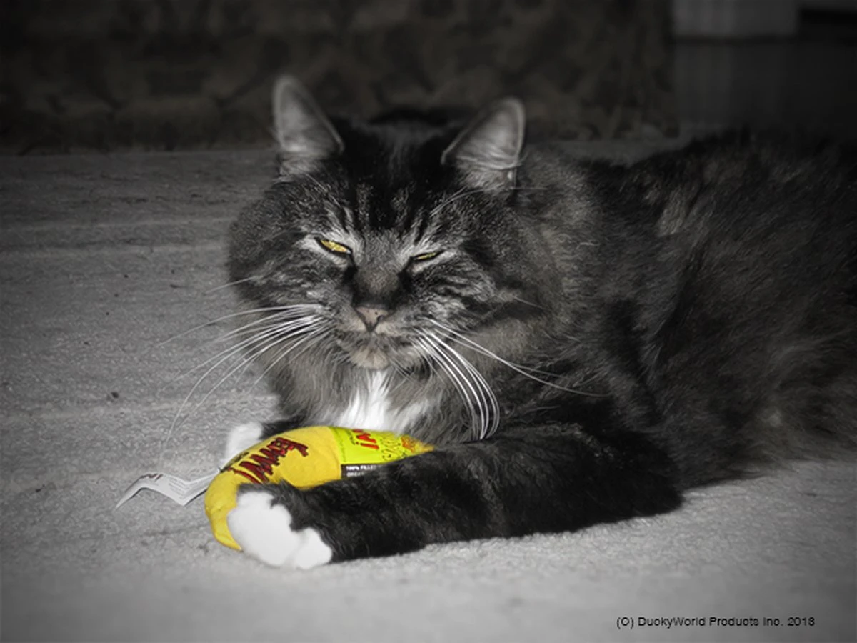 Yeowww! Chicata Banana - Speeltje Voor Katten Met Kattenkruid - De Meest Krachtige Catnip Ter Wereld – Onweerstaanbaar – Katoen – 17.7 Cm - Geel 8 Yeowww! Chicata Banana - Speeltje Voor Katten Met Kattenkruid - De Meest Krachtige Catnip Ter Wereld – Onweerstaanbaar – Katoen – 17.7 Cm - Geel - Afbeelding 6