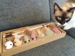 Make Life Beautiful® - Kattenspeeltjes Set - 7-delig - Kattenspeelgoed - Kattenhengel - Speelmuisjes - Kattenspeelgoed Set 17 Make Life Beautiful® - Kattenspeeltjes Set - 7-delig - Kattenspeelgoed - Kattenhengel - Speelmuisjes - Kattenspeelgoed Set -Kattenproducten 1200x900 9