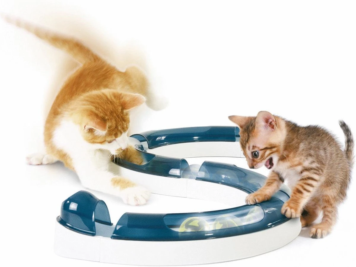 Catit Design Senses Play Circuit - Kattenspeelgoed 5 Catit Design Senses Play Circuit - Kattenspeelgoed - Afbeelding 3