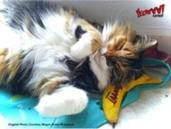 Yeowww! Chicata Banana - Speeltje Voor Katten Met Kattenkruid - De Meest Krachtige Catnip Ter Wereld – Onweerstaanbaar – Katoen – 17.7 Cm - Geel 12 Yeowww! Chicata Banana - Speeltje Voor Katten Met Kattenkruid - De Meest Krachtige Catnip Ter Wereld – Onweerstaanbaar – Katoen – 17.7 Cm - Geel -Kattenproducten 1200x904 3