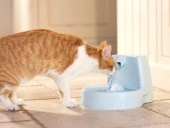 Petsafe Drinkwell Platinum - Drinkfontein - 5 L -Kattenproducten 1200x905