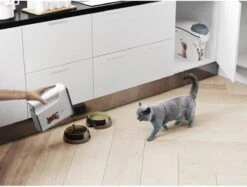 Curver Voercontainer Kat - 6 L -Kattenproducten 1200x910