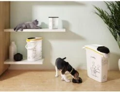 Curver Voedselcontainer Kat - 10 L 18 Curver Voedselcontainer Kat - 10 L -Kattenproducten 1200x917