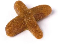 Prins VitalCare Indoor 5 Kg - Kat 28 Prins VitalCare Indoor 5 Kg - Kat -Kattenproducten 1200x922