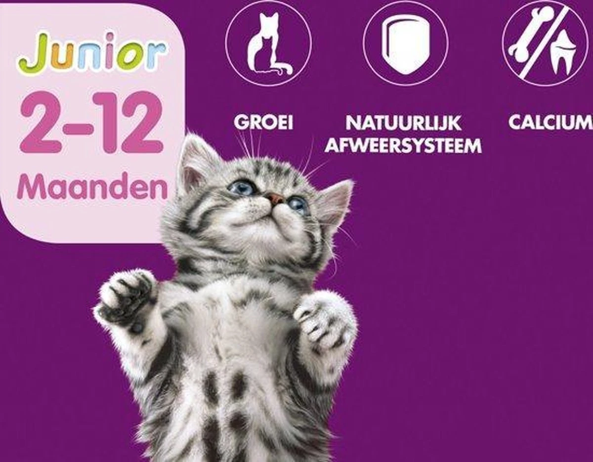 Whiskas Junior Katten Natvoer - Classic Selectie In Saus - 48 X 100g 4 Whiskas Junior Katten Natvoer - Classic Selectie In Saus - 48 X 100g - Afbeelding 2