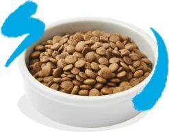 Edgard & Cooper Kattenvoer Adult Zalm 4 Kg -Kattenproducten 1200x936