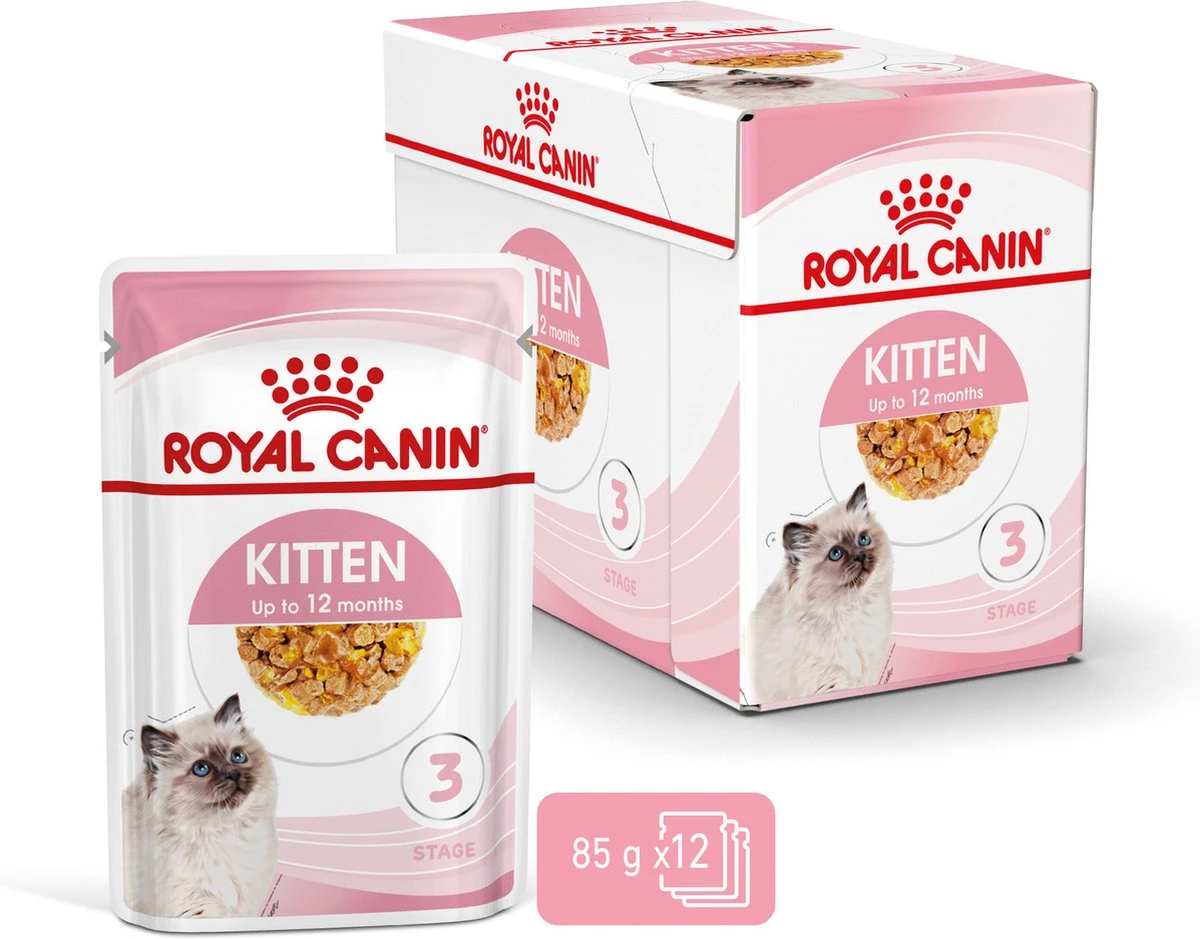 Royal Canin Kitten In Jelly - Kattenvoer - 1020 G 22 Royal Canin Kitten In Jelly - Kattenvoer - 1020 G - Afbeelding 20