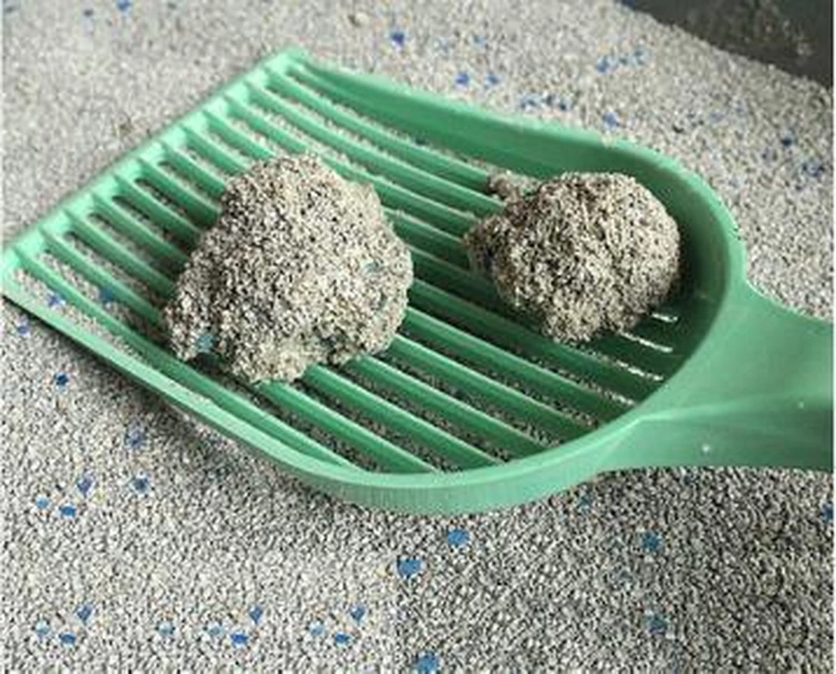 Golden Grey Master Kattenbakvulling Met Silicaat En Babypoeder - 1 Zak 4 Golden Grey Master Kattenbakvulling Met Silicaat En Babypoeder - 1 Zak - Afbeelding 2