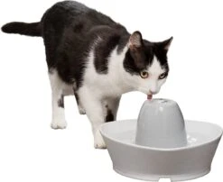PetSafe® Streamside Ceramic Pet Fountain - Keramische Drinkfontein Voor Katten En Kleine Honden - Water Borrelt Zacht Over De Toren - Door Het Design Van Alle Kanten Bereikbaar - 1,8 Liter - PetSafe Streamside 17 PetSafe® Streamside Ceramic Pet Fountain - Keramische Drinkfontein Voor Katten En Kleine Honden - Water Borrelt Zacht Over De Toren - Door Het Design Van Alle Kanten Bereikbaar - 1,8 Liter - PetSafe Streamside -Kattenproducten 1200x983