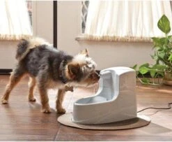 Petsafe Drinkwell Platinum - Drinkfontein - 5 L -Kattenproducten 1200x986