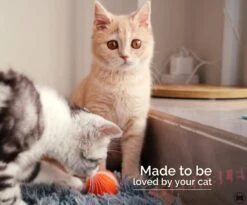 Cheerble Mini Ball 2.0 - Slimme Interactieve Zelf Rollende Bal Voor Katten - 3 Speelmodi - Kattenspeeltjes - USB Oplaadbaar - Rood 18 Cheerble Mini Ball 2.0 - Slimme Interactieve Zelf Rollende Bal Voor Katten - 3 Speelmodi - Kattenspeeltjes - USB Oplaadbaar - Rood -Kattenproducten 1200x994 2