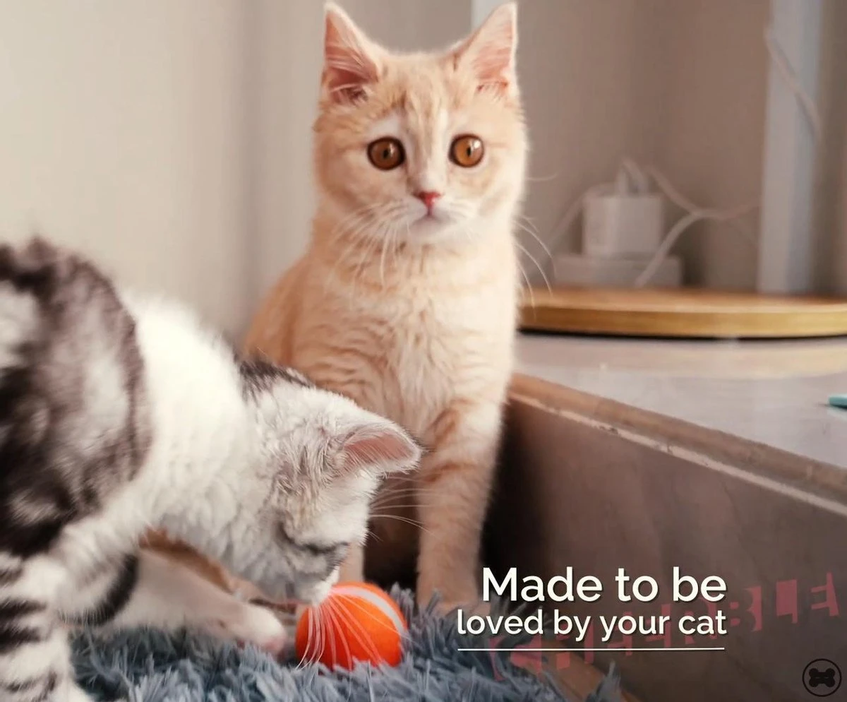 Cheerble Mini Ball 2.0 - Slimme Interactieve Zelf Rollende Bal Voor Katten - 3 Speelmodi - Kattenspeeltjes - USB Oplaadbaar - Rood 7 Cheerble Mini Ball 2.0 - Slimme Interactieve Zelf Rollende Bal Voor Katten - 3 Speelmodi - Kattenspeeltjes - USB Oplaadbaar - Rood - Afbeelding 5