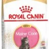Royal Canin Maine Coon Kitten - Kattenvoer - 4 Kg 2 Royal Canin Maine Coon Kitten - Kattenvoer - 4 Kg -Kattenproducten 578x1200