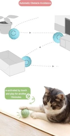 Cheerble | Mini Bal 3.0 | Roze | Zelf Rollende Bal Voor Katten | 3 Automatische Speelmodi | Interactief En Intelligentie Kattenspeelgoed | Kattenspeeltje 17 Cheerble | Mini Bal 3.0 | Roze | Zelf Rollende Bal Voor Katten | 3 Automatische Speelmodi | Interactief En Intelligentie Kattenspeelgoed | Kattenspeeltje -Kattenproducten 623x1200 1
