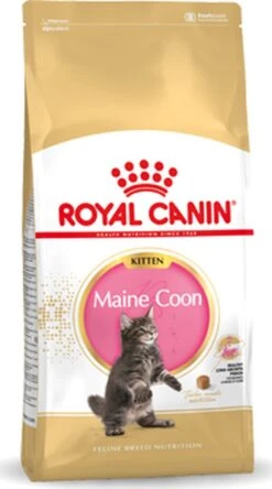 Royal Canin Maine Coon Kitten - Kattenvoer - 4 Kg 31 Royal Canin Maine Coon Kitten - Kattenvoer - 4 Kg -Kattenproducten 668x1200 3