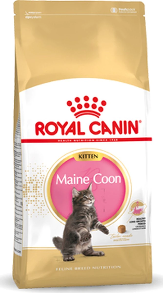 Royal Canin Maine Coon Kitten - Kattenvoer - 4 Kg 17 Royal Canin Maine Coon Kitten - Kattenvoer - 4 Kg - Afbeelding 15
