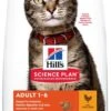 Hill's Feline Adult Kip - Kattenvoer - 7 Kg 1 Hill's Feline Adult Kip - Kattenvoer - 7 Kg -Kattenproducten 690x1200 1