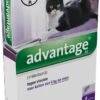 Advantage 80 Vlooiendruppelsl Kat Vanaf 4 Kg - 4 Pipetten 2 Advantage 80 Vlooiendruppelsl Kat Vanaf 4 Kg - 4 Pipetten -Kattenproducten 701x1200