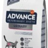Advance Kat Veterinary Diet Urinary Care - Kattenvoer - 3 Kg - Blaasgruis