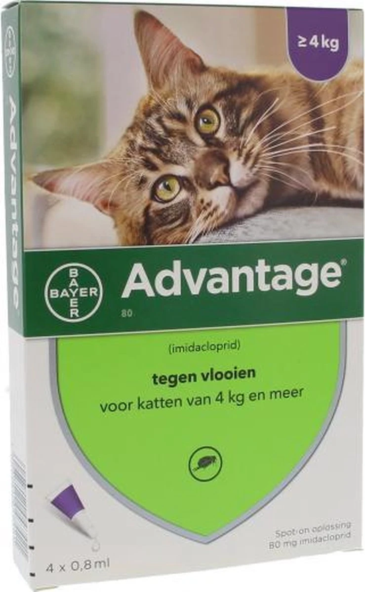 Bayer Anti Vlooienmiddel Advantage 80 > 4 Kg - 4 X 0,8 Ml 7 Bayer Anti Vlooienmiddel Advantage 80 > 4 Kg - 4 X 0,8 Ml - Afbeelding 5