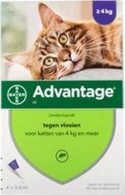 Advantage 80 Vlooiendruppelsl Kat Vanaf 4 Kg - 4 Pipetten 9 Advantage 80 Vlooiendruppelsl Kat Vanaf 4 Kg - 4 Pipetten -Kattenproducten 773x1200 1