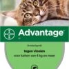 Bayer Anti Vlooienmiddel Advantage 80 > 4 Kg - 4 X 0,8 Ml 1 Bayer Anti Vlooienmiddel Advantage 80 > 4 Kg - 4 X 0,8 Ml -Kattenproducten 788x1200 1