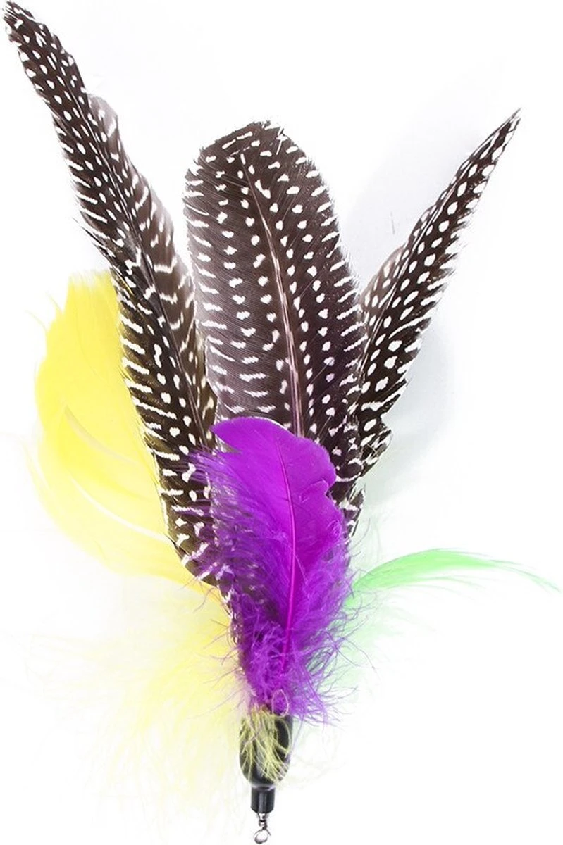 Merkloos Kattenhengel Met 10 Opzetstukjes - Kat Speelhengel Met Veren - Speelgoed Hengel Voor Katten – Kittenspeeltjes Met Veer – Kattenspeelgoed – Katten Speeltjes 6 Merkloos Kattenhengel Met 10 Opzetstukjes - Kat Speelhengel Met Veren - Speelgoed Hengel Voor Katten – Kittenspeeltjes Met Veer – Kattenspeelgoed – Katten Speeltjes - Afbeelding 4