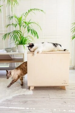 Catandwood Kattenhuis - Kattenbakcontainer - Kattenbak Ombouw - Hout 20 Catandwood Kattenhuis - Kattenbakcontainer - Kattenbak Ombouw - Hout -Kattenproducten 799x1200 9