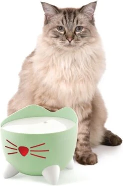 Catit Pixi Fountain - Kattendrinkbak - 20x20x16 Cm Groen 15 Catit Pixi Fountain - Kattendrinkbak - 20x20x16 Cm Groen -Kattenproducten 800x1200
