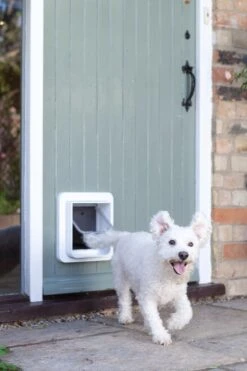 SureFlap Microchip - Kattenluik - Wit - L - 18 X 17 Cm 26 SureFlap Microchip - Kattenluik - Wit - L - 18 X 17 Cm -Kattenproducten 800x1200 5