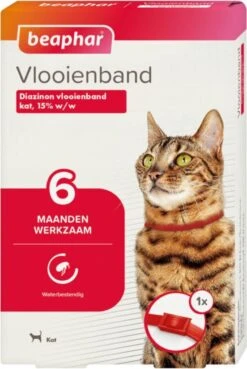 Beaphar Vlooienband Kat - Rood - 1 Stuk 18 Beaphar Vlooienband Kat - Rood - 1 Stuk -Kattenproducten 804x1200 1