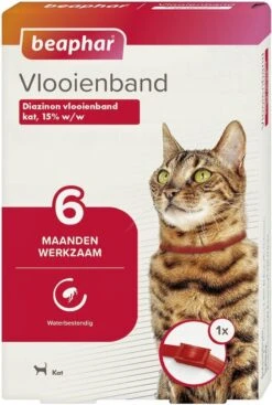 Beaphar Vlooienband Kat - Rood - 1 Stuk 19 Beaphar Vlooienband Kat - Rood - 1 Stuk -Kattenproducten 807x1200 1