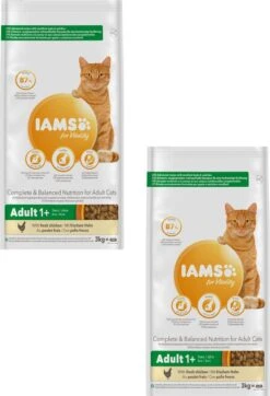 Iams Cat Adult Kip - Kattenvoer - 2 X 3 Kg -Kattenproducten 818x1200