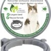 Teken- En Vlooienband Voor Katten PLUS - Natuurlijk Middel Tegen Vlooien En Teken - 100% Natuurlijk - 38,5 CM - Tot 8 Maand Werkzaam - Biologisch 2 Teken- En Vlooienband Voor Katten PLUS - Natuurlijk Middel Tegen Vlooien En Teken - 100% Natuurlijk - 38,5 CM - Tot 8 Maand Werkzaam - Biologisch -Kattenproducten 819x1200